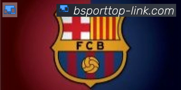 Bsports官网合作伙伴